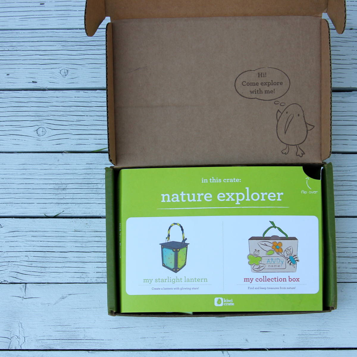 kiwi crate kids' activity