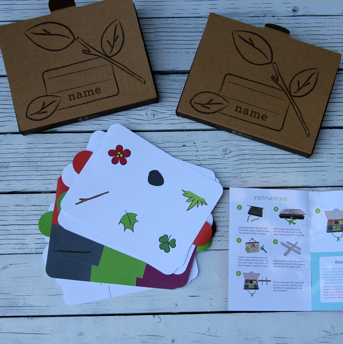 kiwi crate kid's nature kits