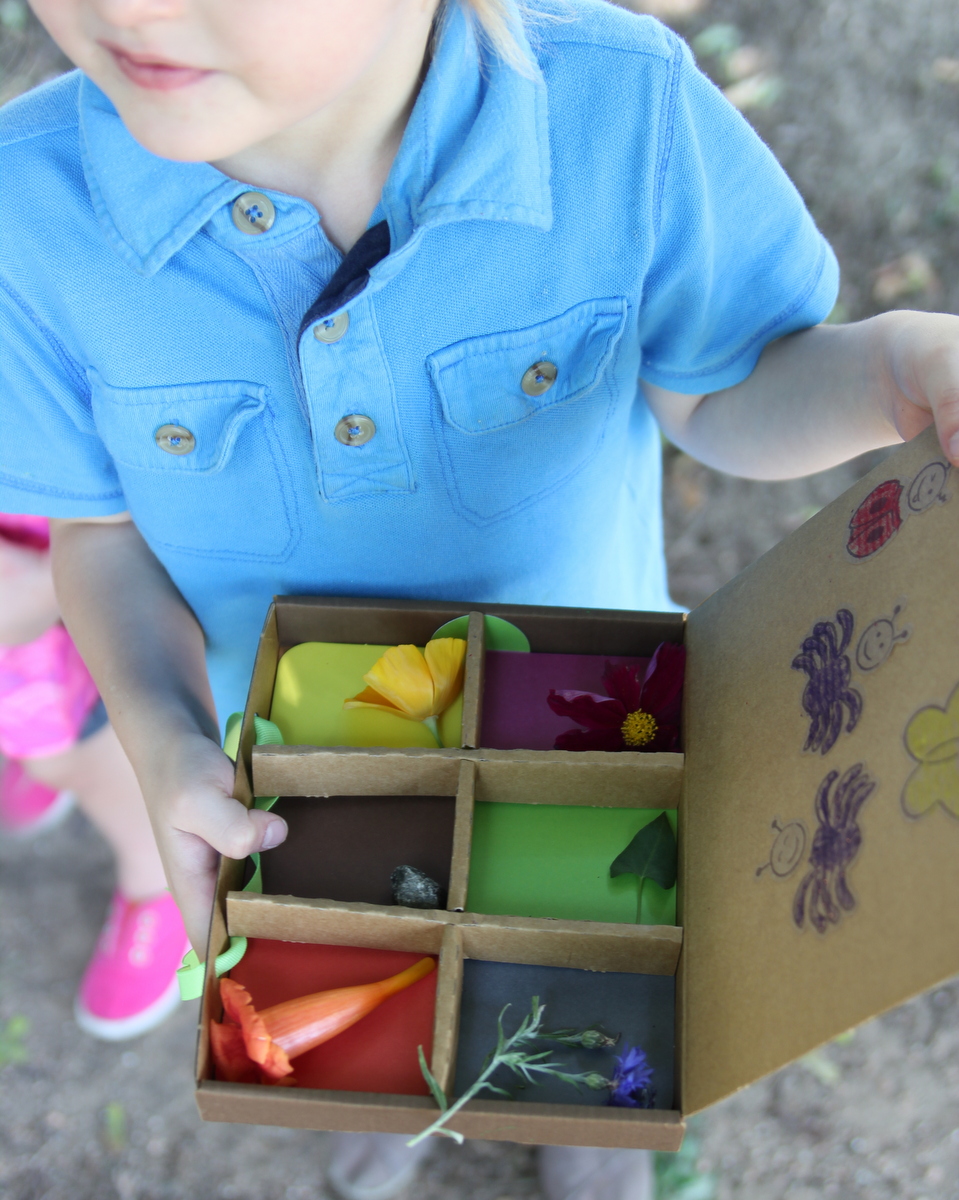 nature kit, kiwi crate