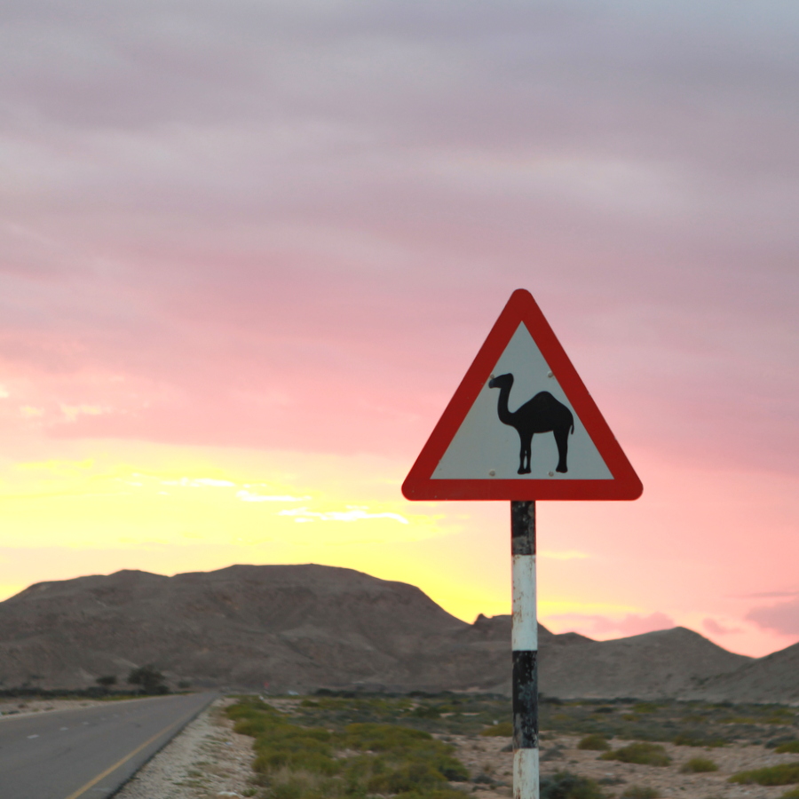 oman travel
