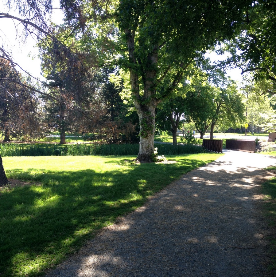 wash park run