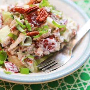 chicken salad with pecans, fruit, and yogurt.