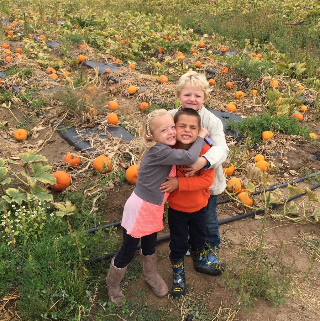 pumpkin patch