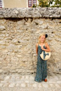 Cutest DIY purse with interchangable accessories
