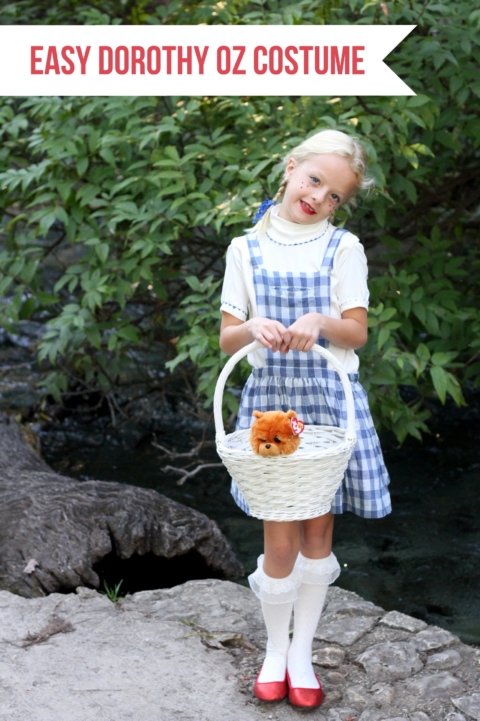 family halloween costumes- easy wizard of oz costumes family halloween costumes- easy wizard of oz costumes