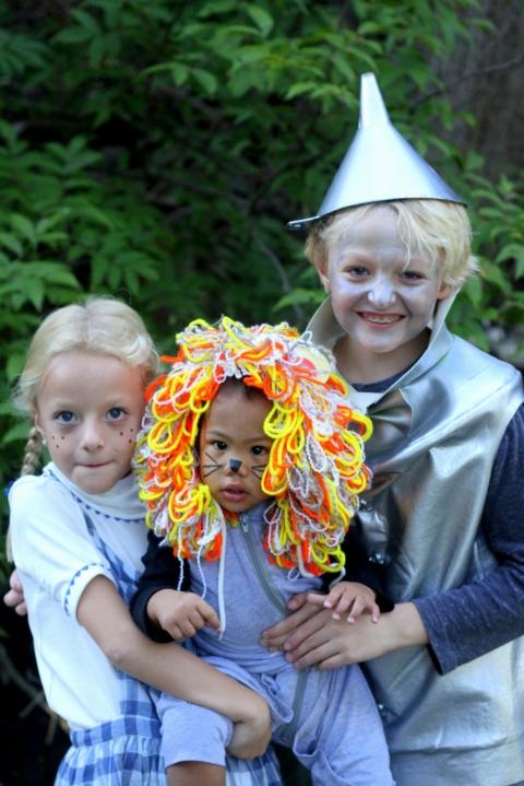 family halloween costumes- easy wizard of oz costumes